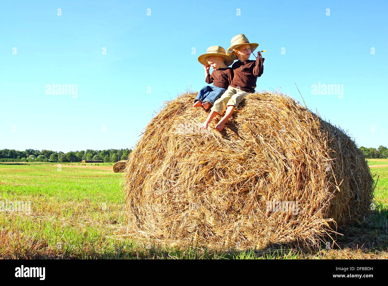 Two happy young children, a boy and his baby brother, are sitting on a hay bale in a field on a farm, wearing straw cowboy hats. Stock Photo