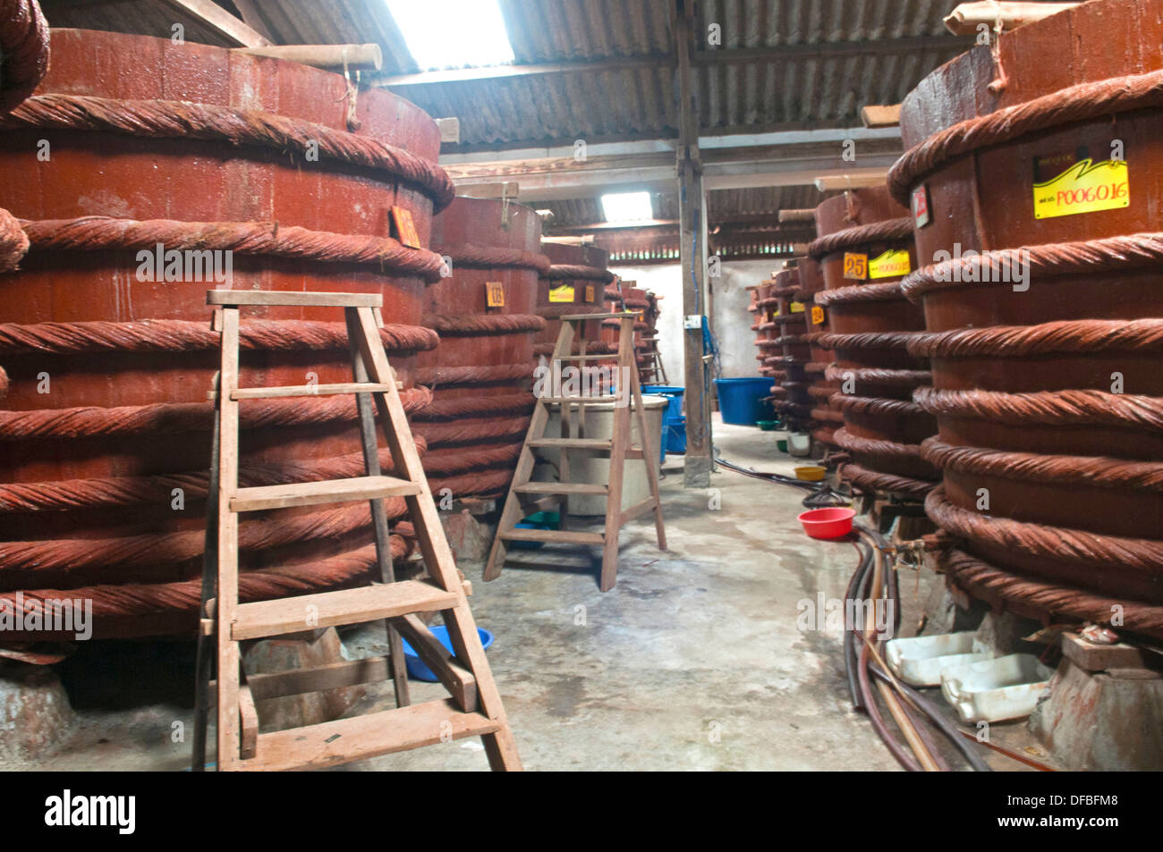 fish sauce factory on Phu Quoc Island in Vietnam Stock Photo Alamy