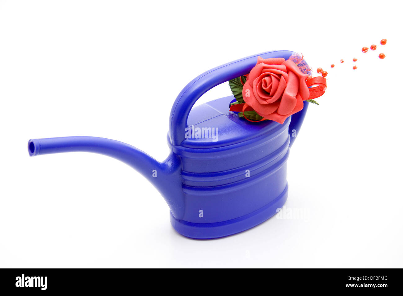 Watering can with rose Stock Photo Alamy