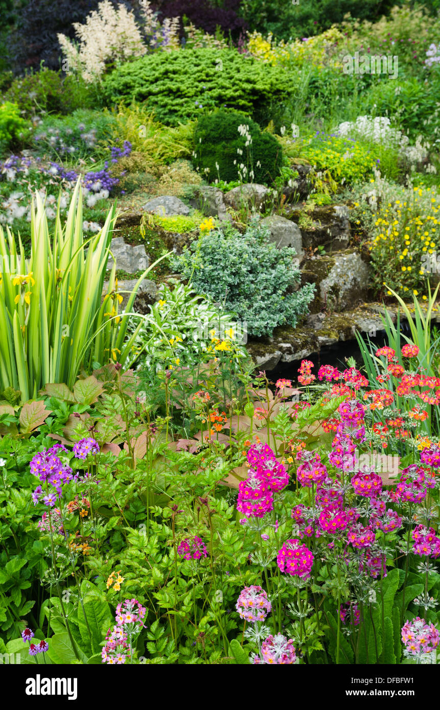 A rockery planted with primula and dwarf conifers etc. Stock Photo