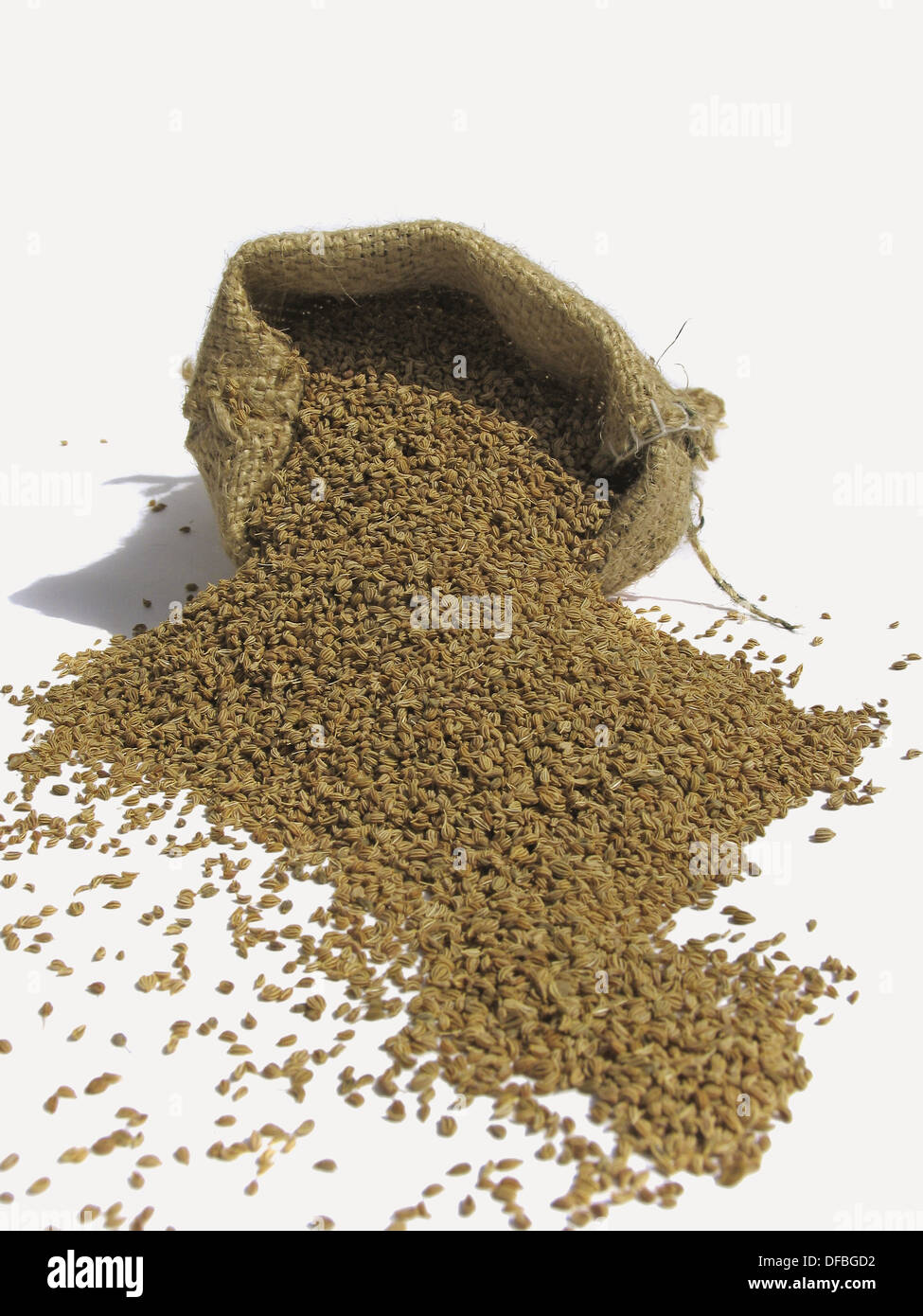 Ajowan, ajwain. Ajowan seeds come from Trachyspermum ammi, a native