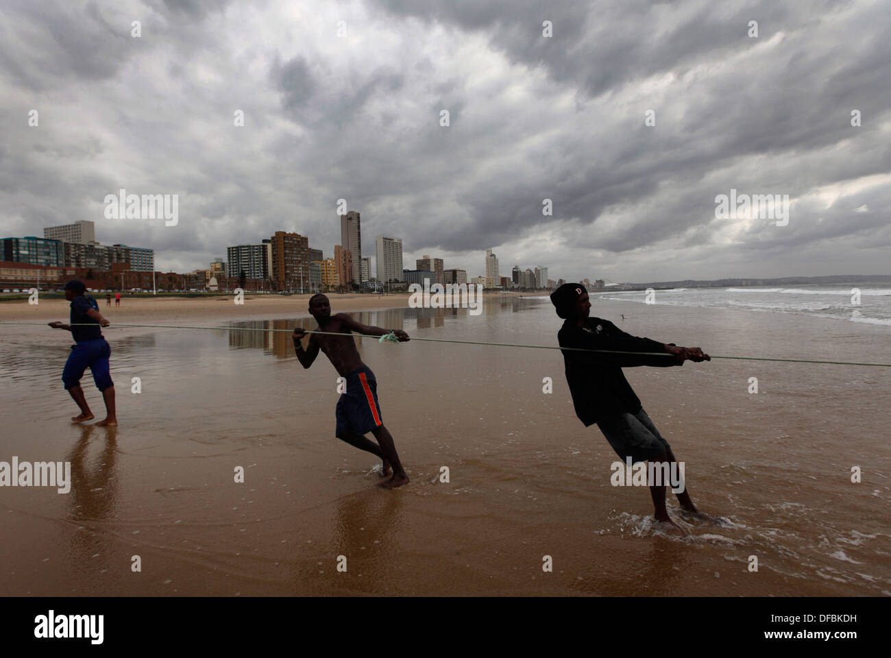 Netting sardines on Durban's Addington Beach, 8 September 2010. © Rogan Ward 2010 Stock Photo