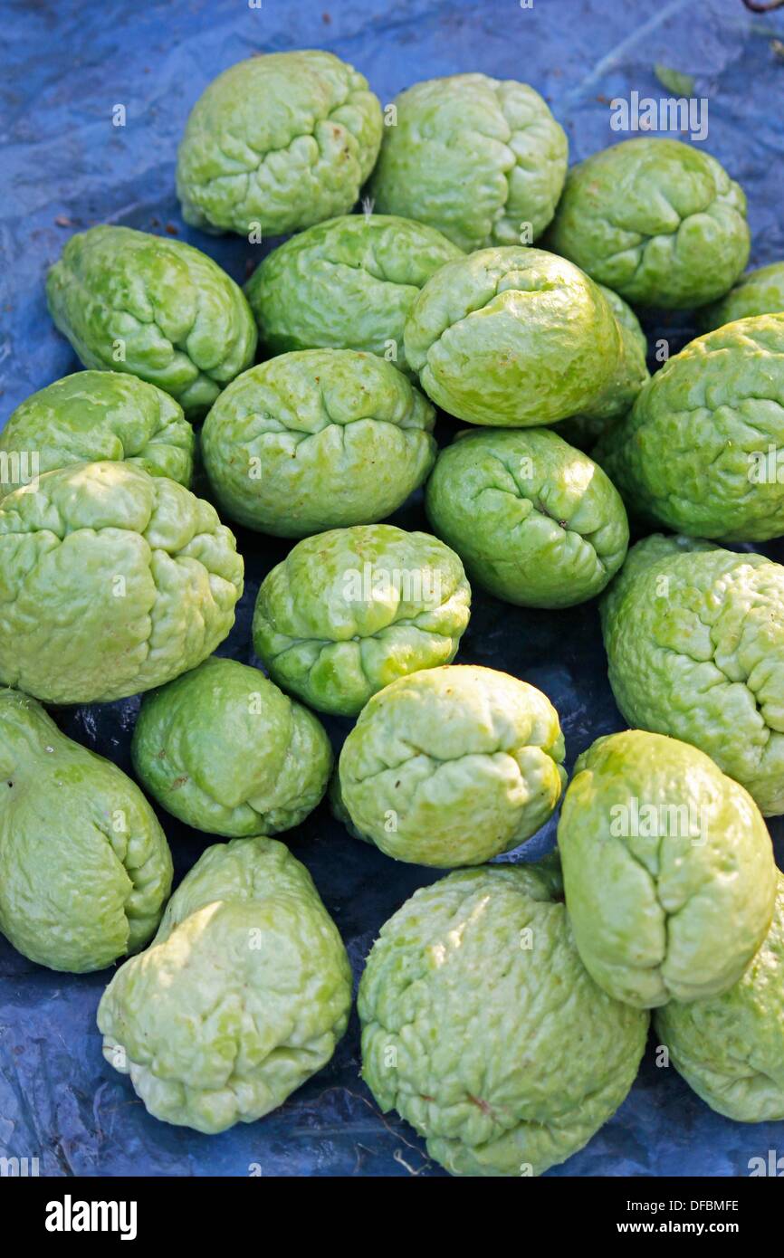 Planta vegetal india hires stock photography and images Alamy