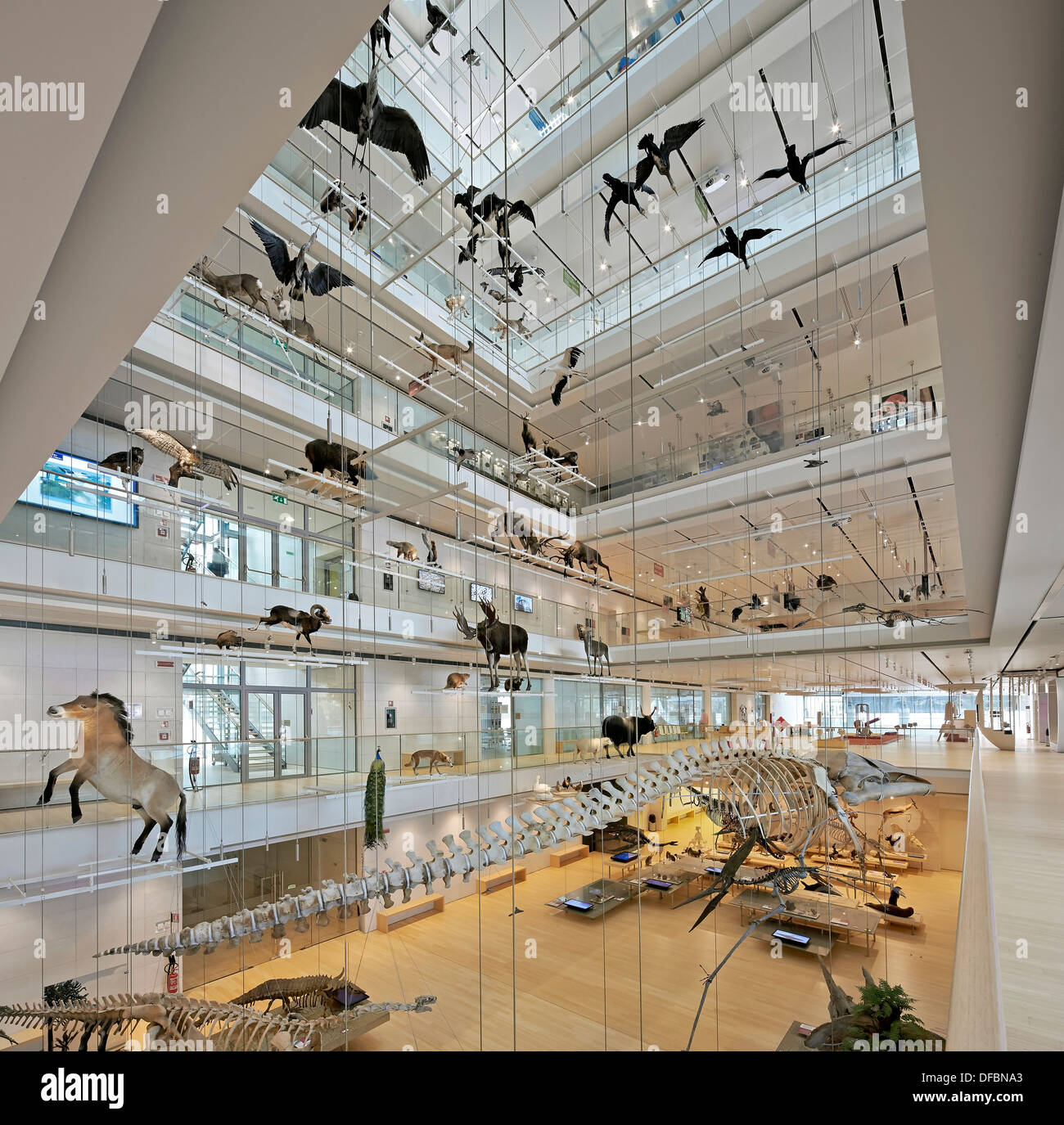 MUSE Science Museum, Trentino, Italy. Architect: Renzo Piano Building  Workshop, 2013. Oblique view through main atrium with tax Stock Photo -  Alamy