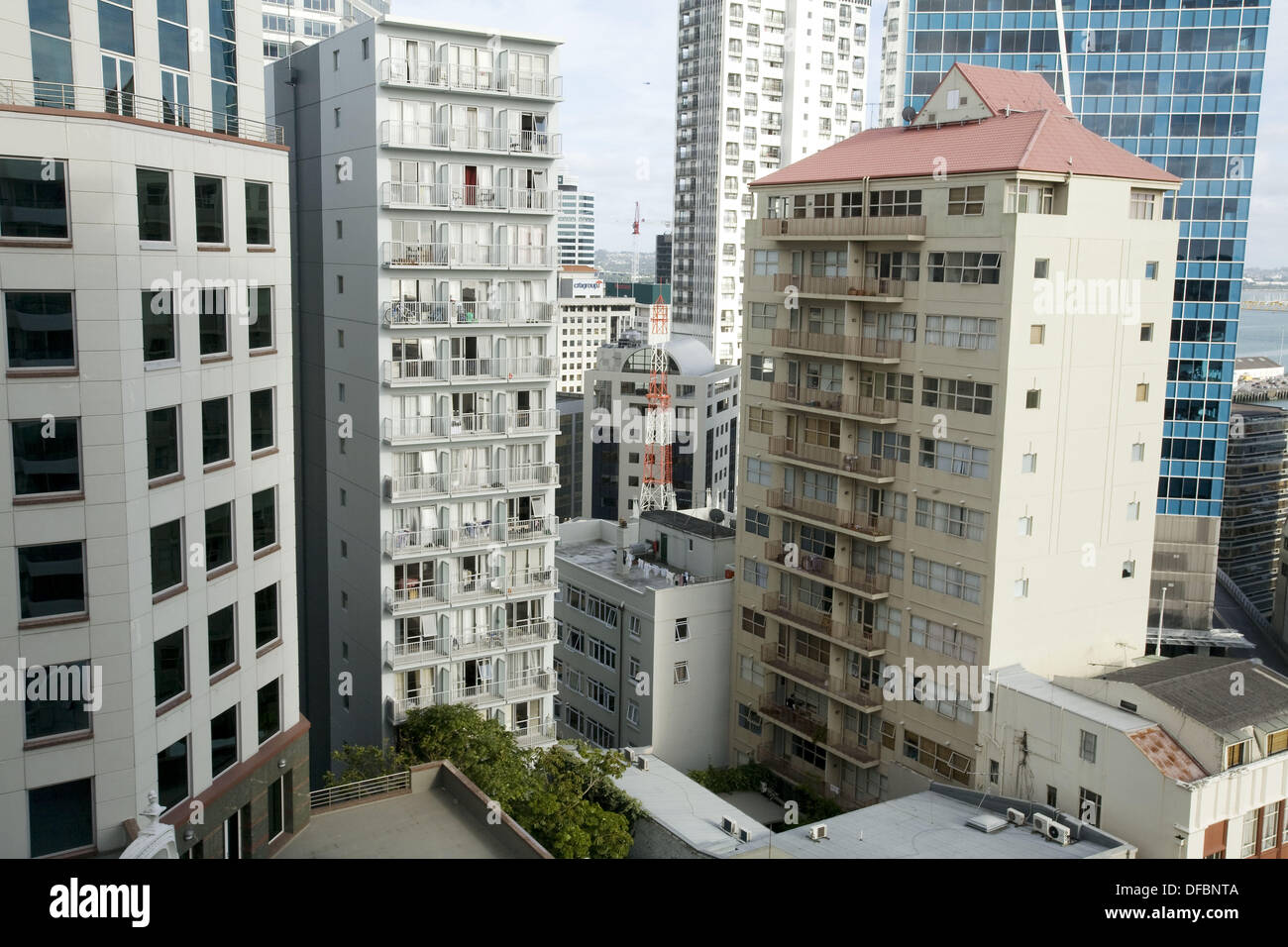 Auckland rural landscape Stock Photo Alamy
