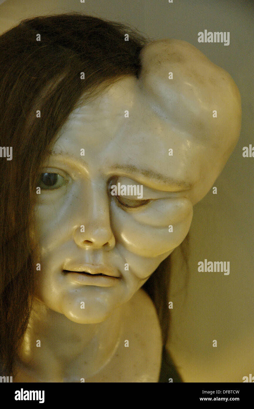 Bologna (Italy), Anatomic Wax Museum at the university Stock Photo Alamy