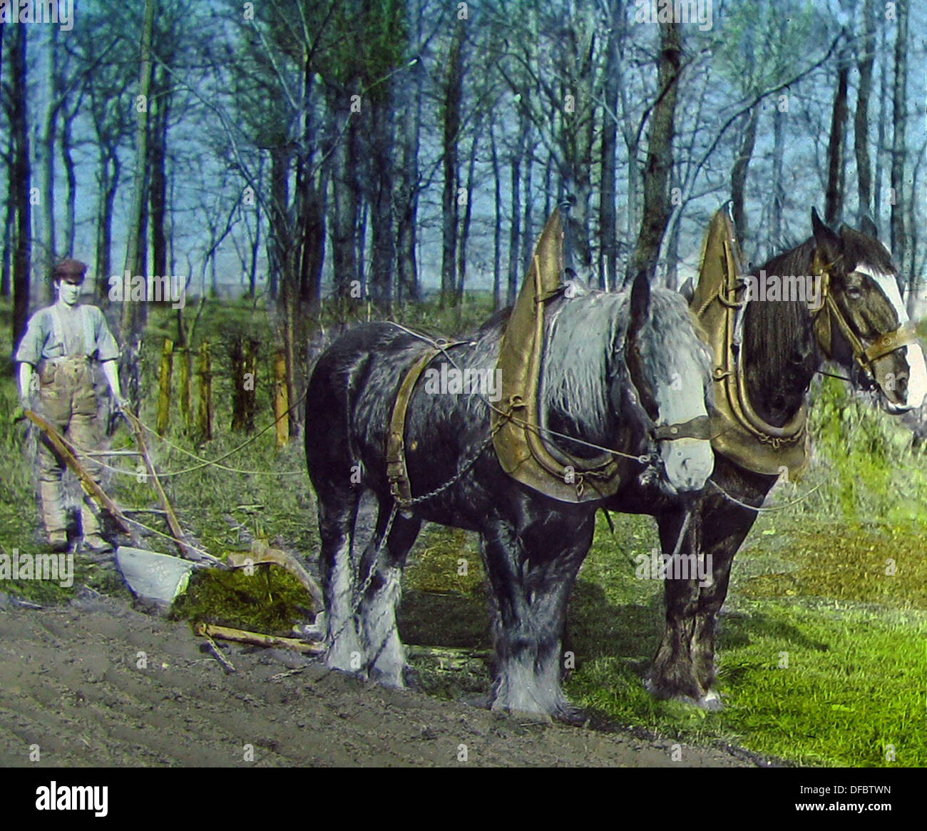 Ploughing with horses Victorian period Stock Photo Alamy