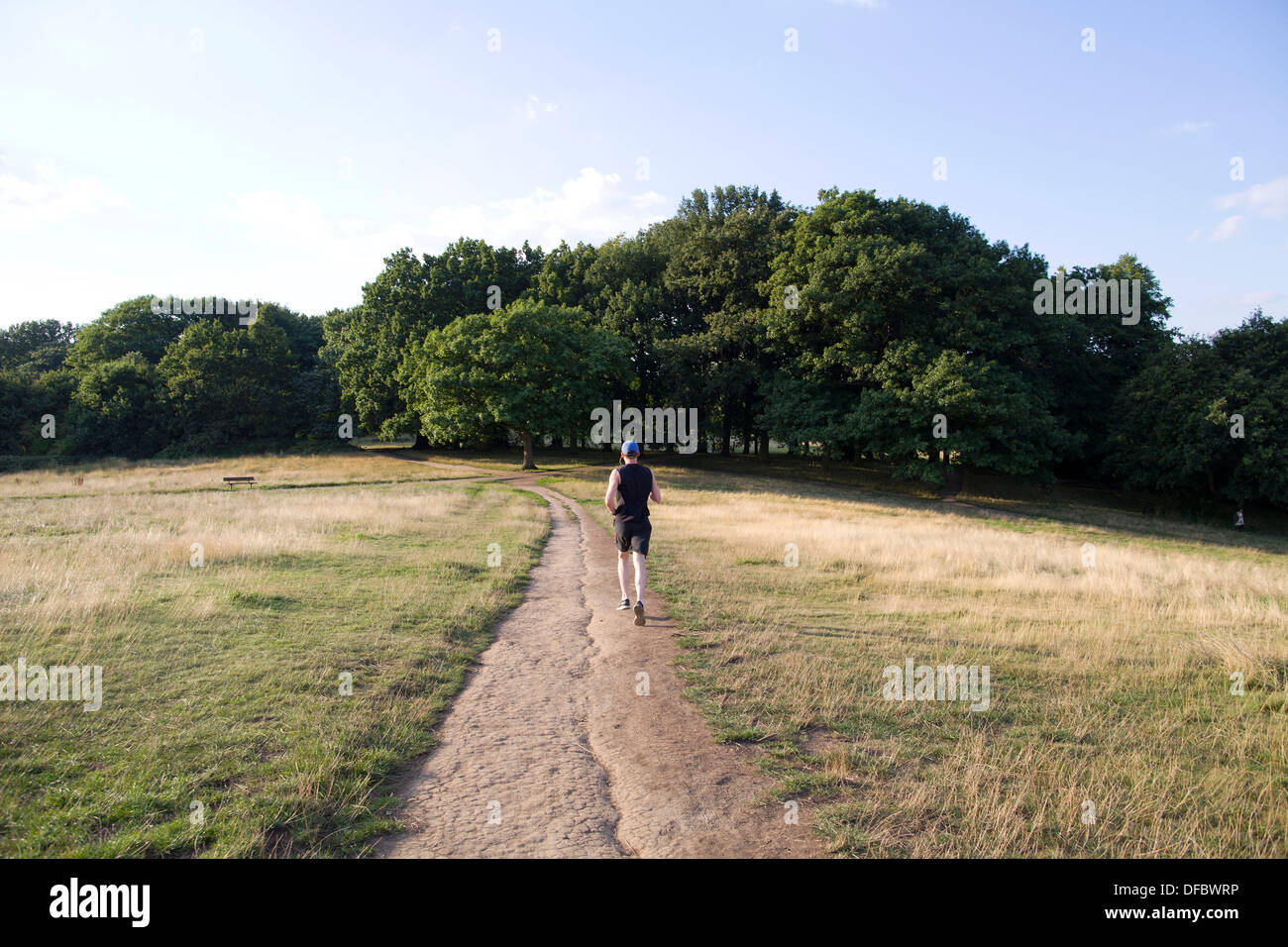 UK, London : A man out exercising on Hampstead Heath in London on August 28, 2013. Stock Photo
