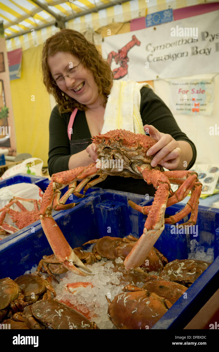 Spider crab for sale hi-res stock photography and images - Alamy