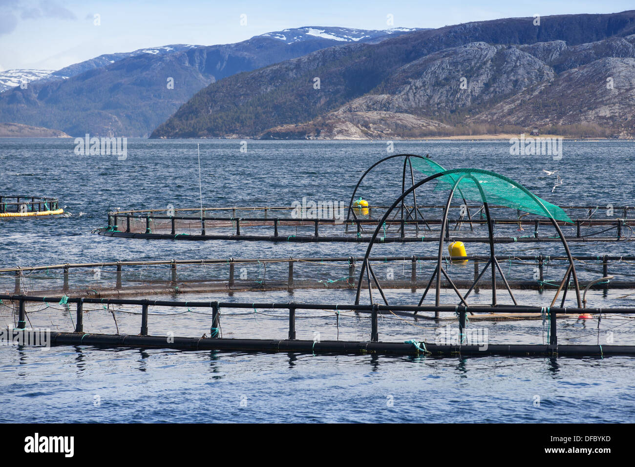 Norwegian fish farm for salmon growing in open sea water Stock Photo