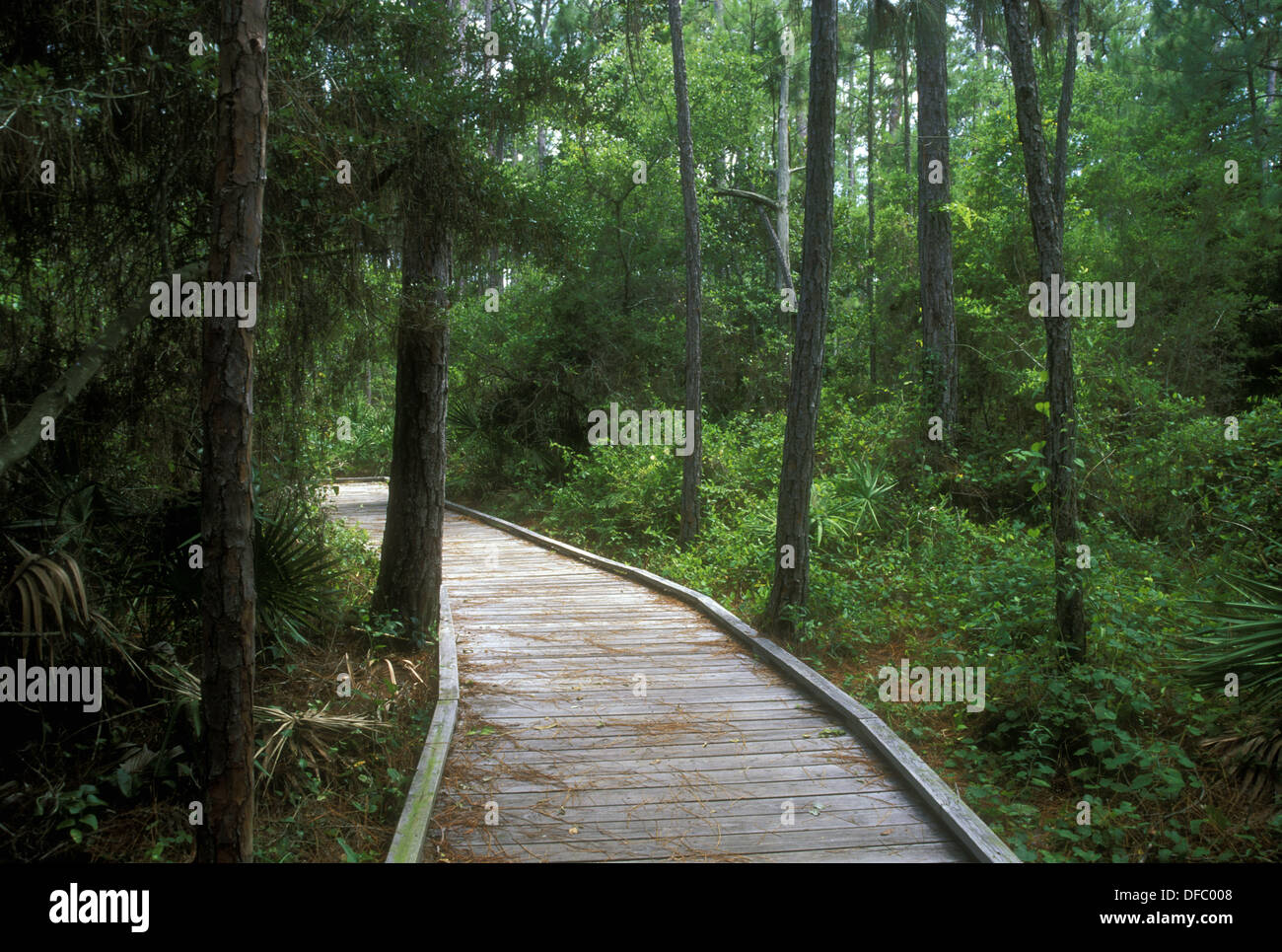 Dauphin island park hires stock photography and images Alamy
