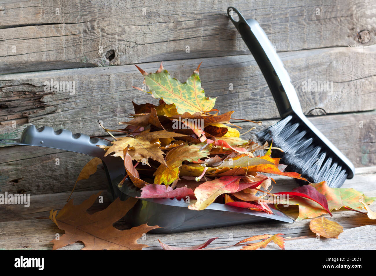 Autumn cleaning abstract with leaves concept Stock Photo