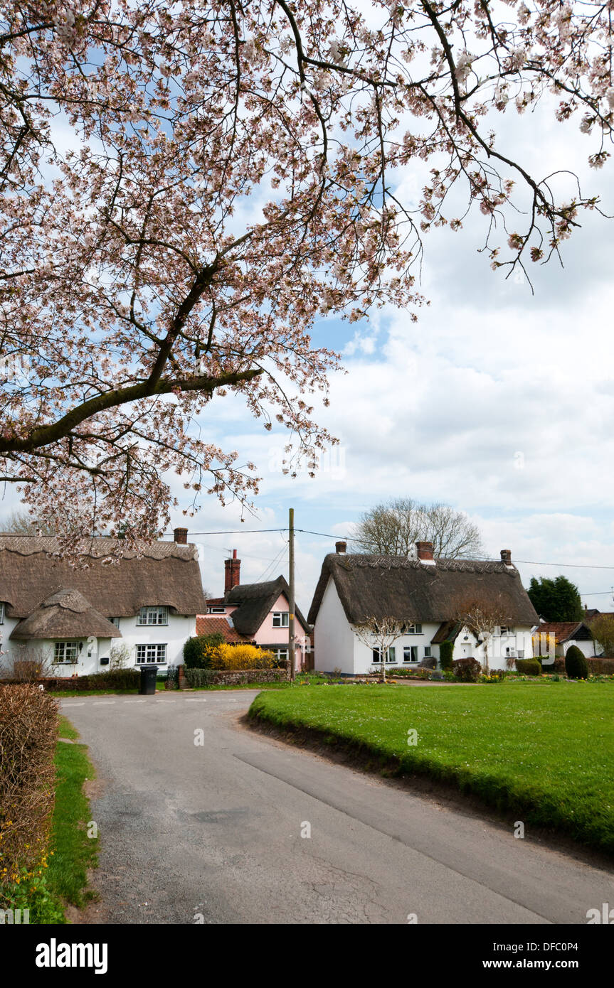 Pulham st mary norfolk hires stock photography and images Alamy