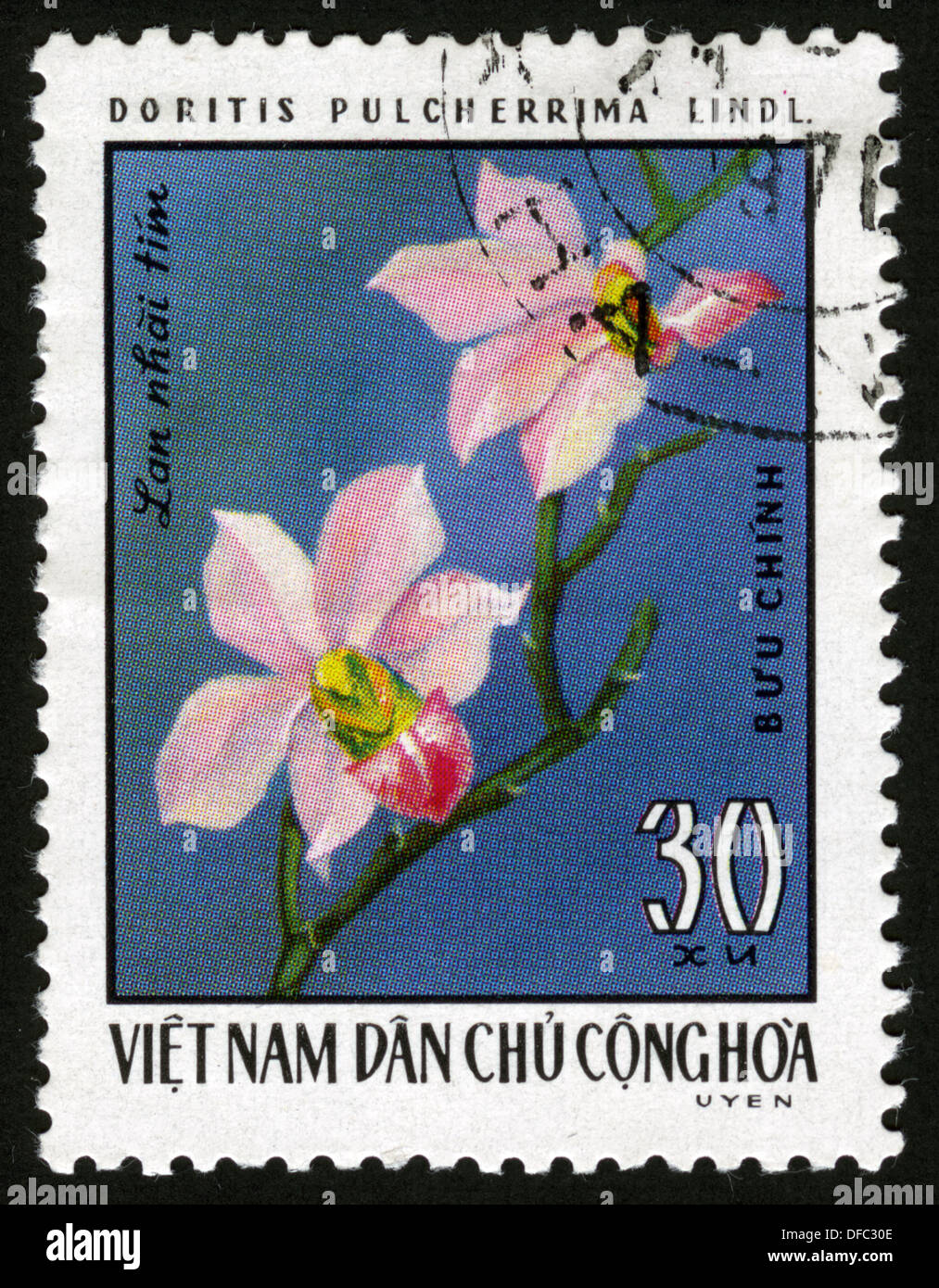 Vietnam,post mark,stamp,postage stamps,flowers, plants, flora,flower
