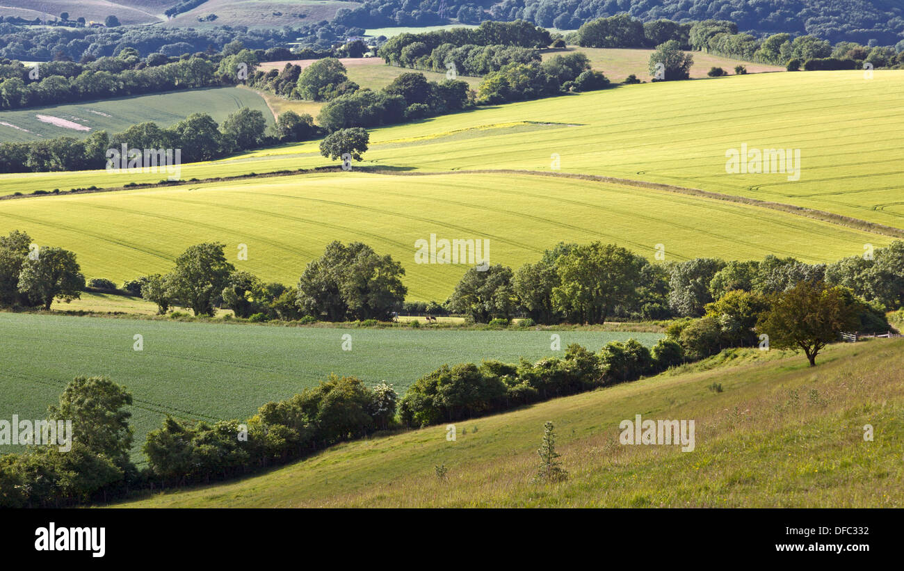 View across fields from Butser Hill, South Downs National Park, Hampshire, UK. Stock Photo