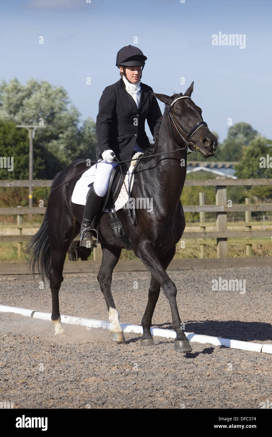 A horse and rider competing in a dressage event held outside on a sand and rubber course in England Stock Photo