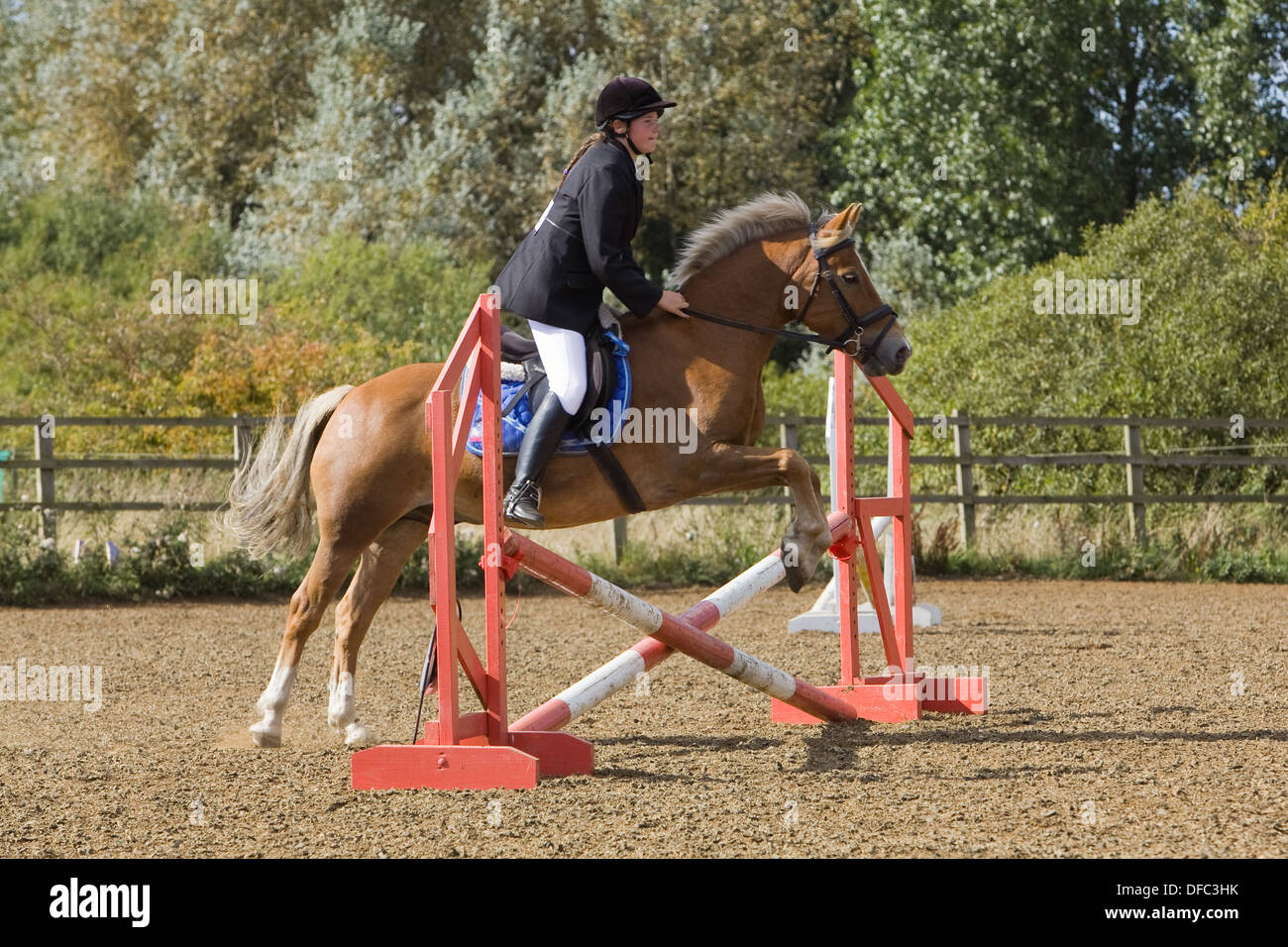 A horse and rider jumping a fence during a show jumping competition ...