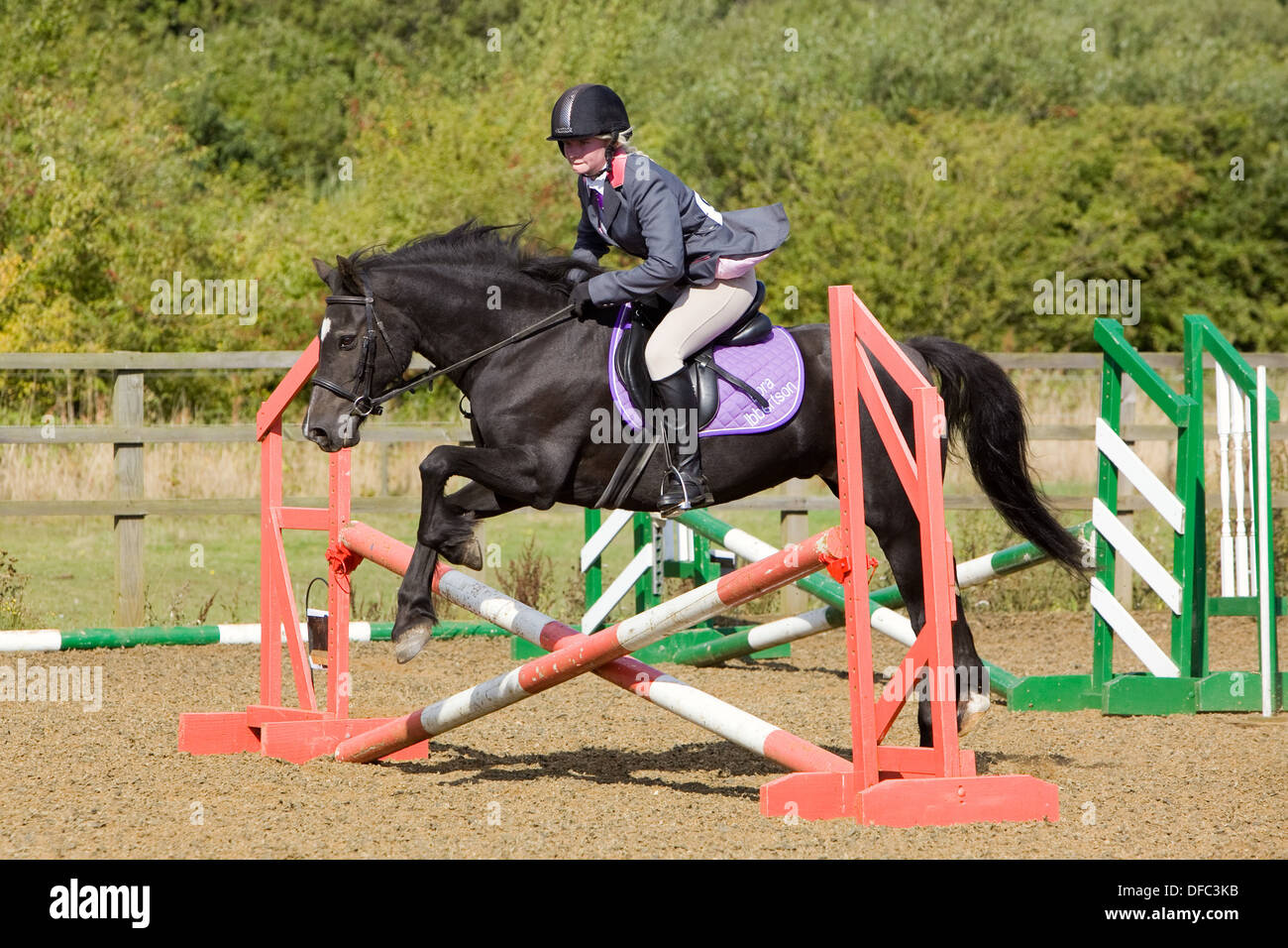 A horse and rider jumping a fence during a show jumping competition ...