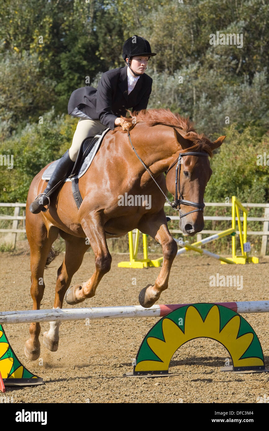 A horse and rider jumping a fence during a show jumping competition held outside Stock Photo