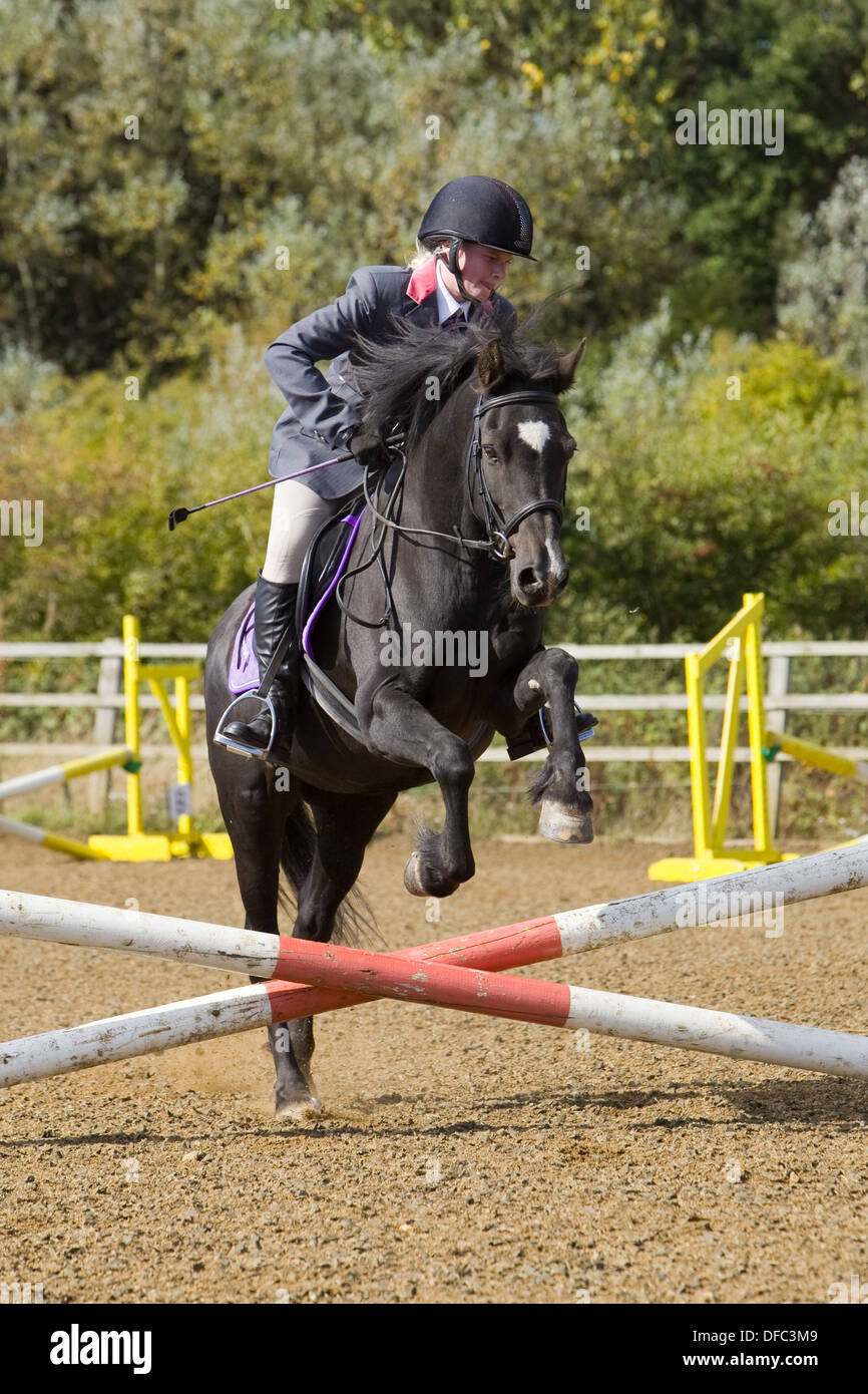 A horse and rider jumping a fence during a show jumping competition ...