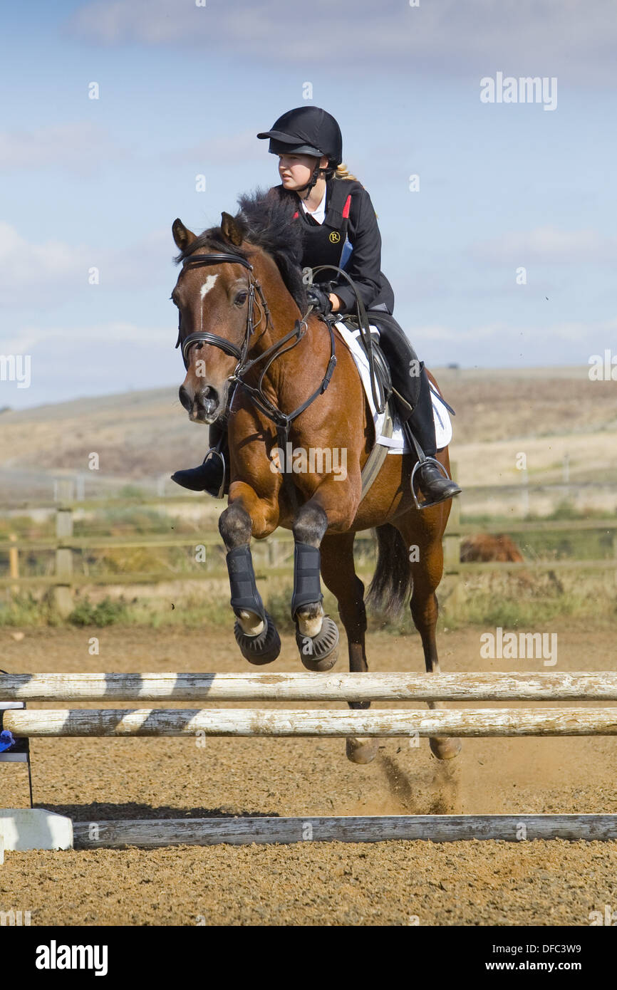 A horse and rider jumping a fence during a show jumping competition ...
