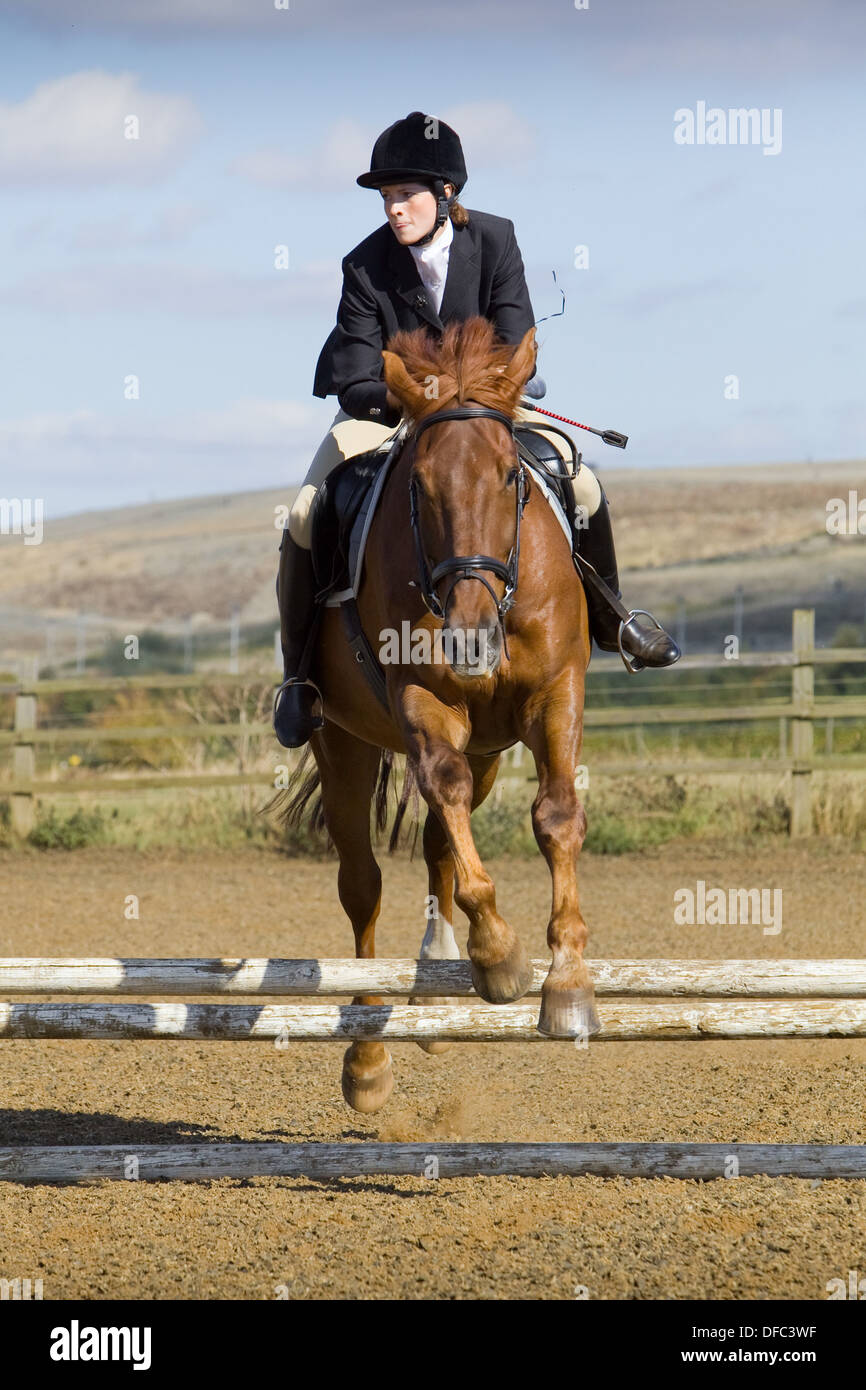 A horse and rider jumping a fence during a show jumping competition ...