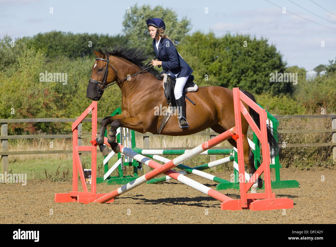 A horse and rider jumping a fence during a show jumping competition ...