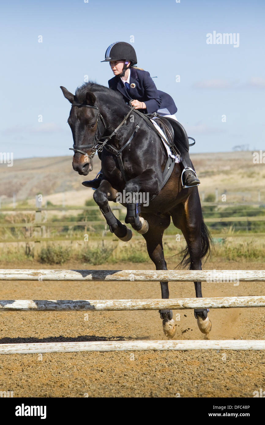 A horse and rider jumping a fence during a show jumping competition ...