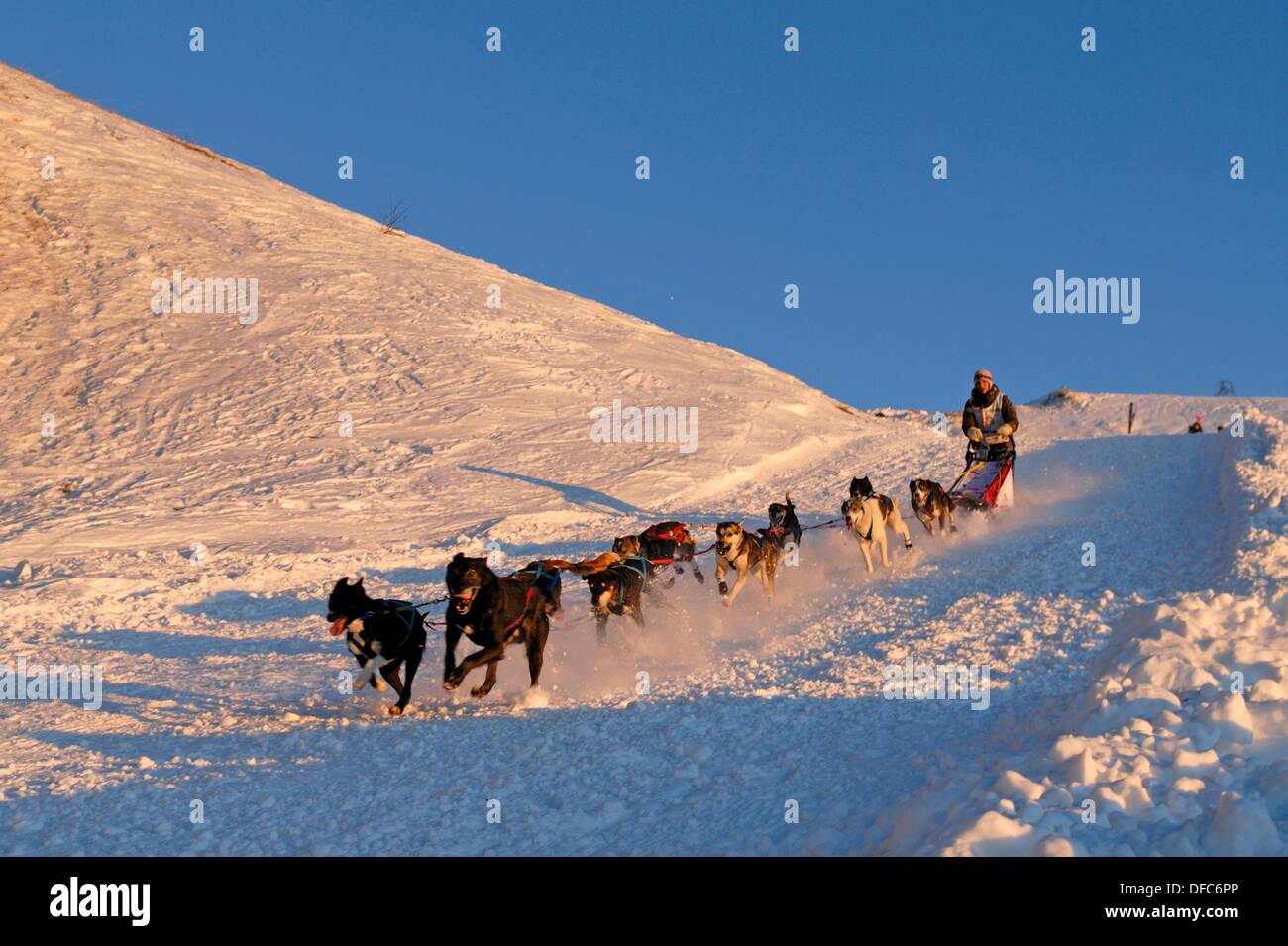 La Grande Odyssee International Sled Dog Race Haute Savoie