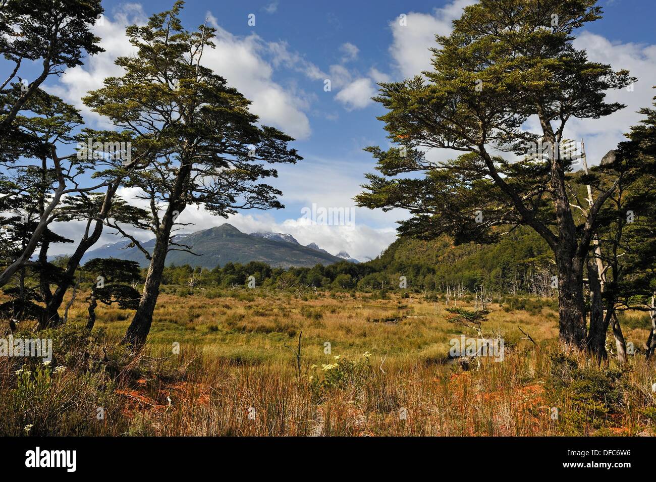 Ainsworth Bay, Alberto de Agostini National Park, Tierra del Fuego