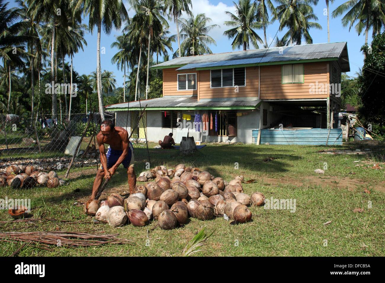 Men Processing Coconut, Teluk Melano, Sarawak, Borneo Stock Photo - Alamy