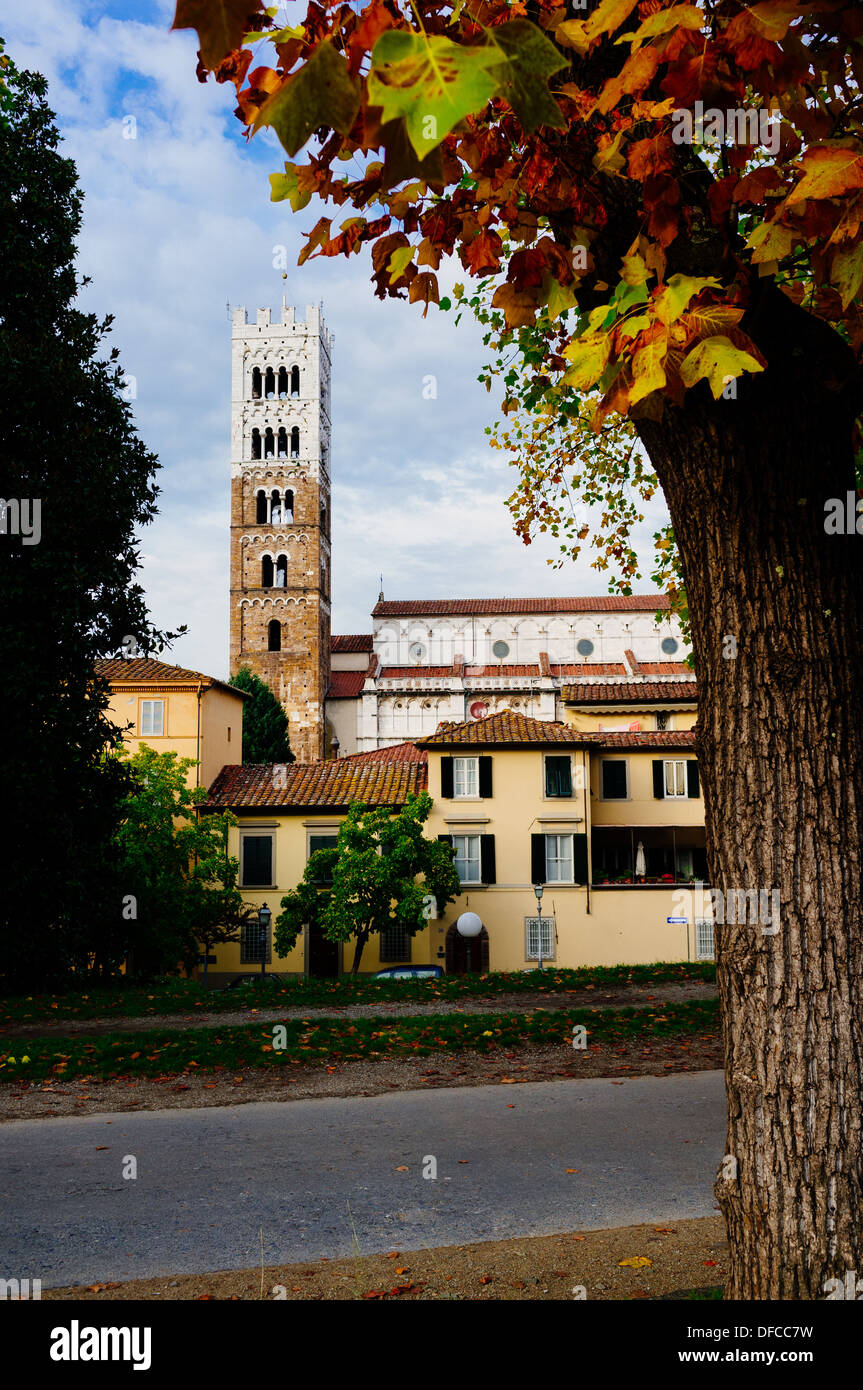 Duomo di San Martino Lucca, Italy Stock Photo Alamy Duomo di San Martino Lucca, Italy Stock Photo Alamy
