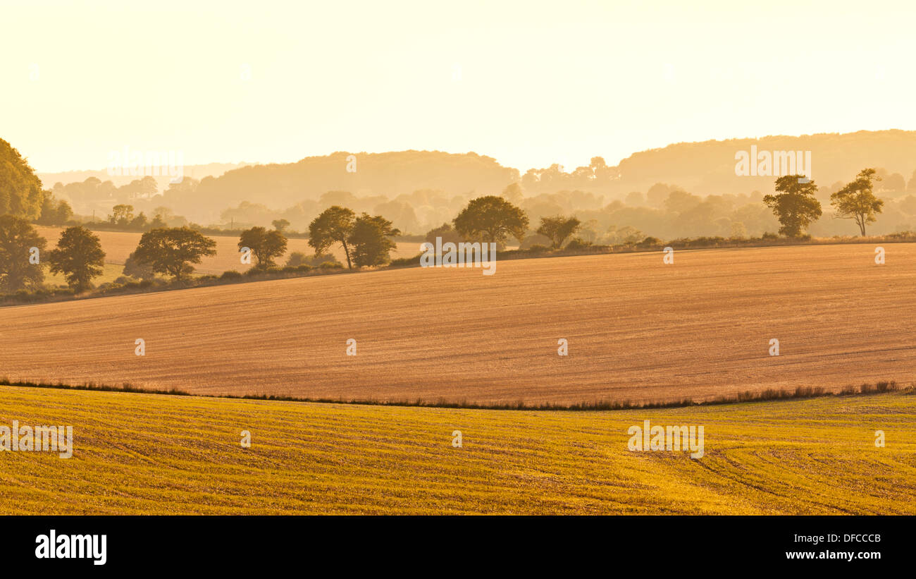 Looking across fields on the South Downs in Hampshire Stock Photo