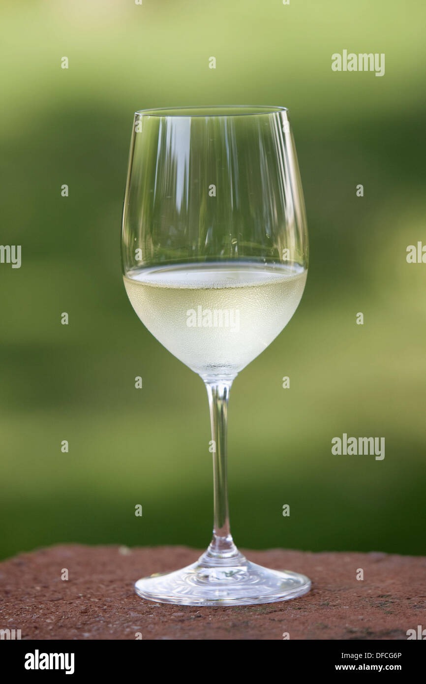 Riedel hires stock photography and images Alamy