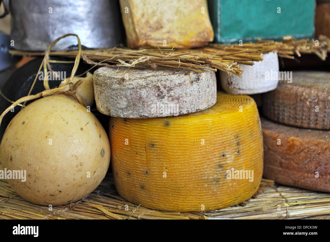 Different types of mature cheese on the stand on International Cheese Festival in Bra, Northern Italy. Stock Photo