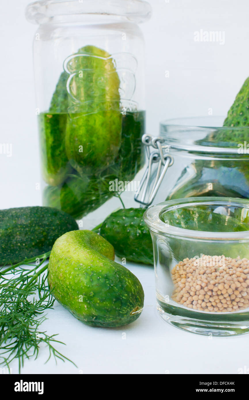 Preparing cucumber pickle with dill and mustard seeds Stock Photo Alamy