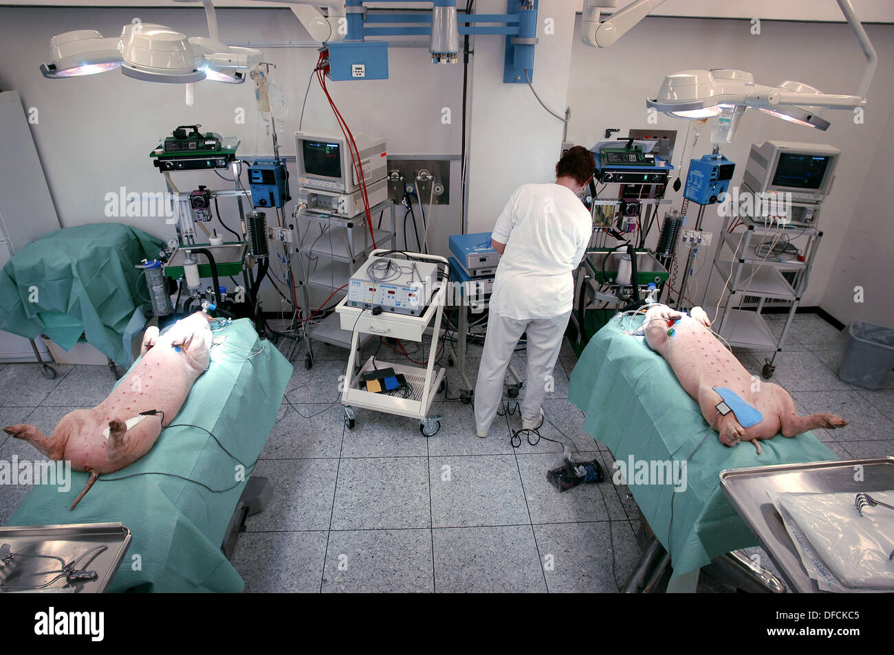 Doctors testing instruments. Laboratory, animal experimental