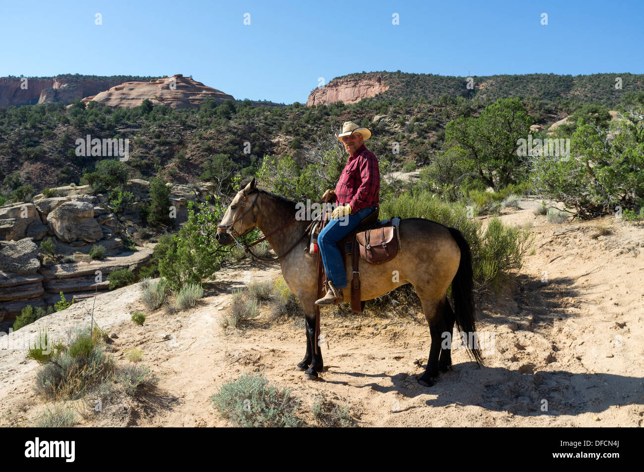Modern day cowboy on horseback riding his horse in the desert near the Colorado National Monument, Colorado, USA Stock Photo