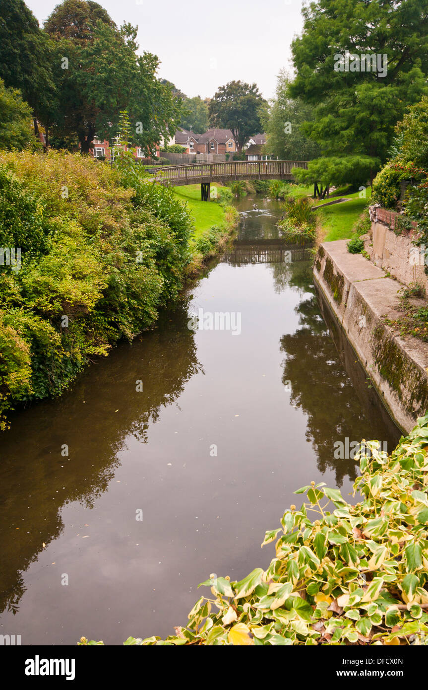The River Wey at farnham Surrey England UK Stock Photo Alamy