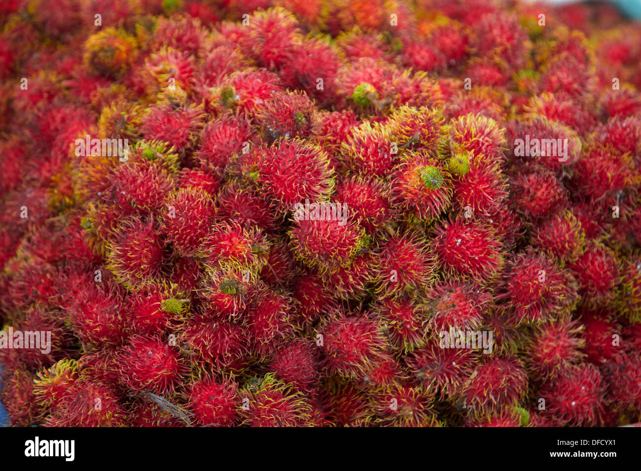Hairy fruit hi-res stock photography and images - Alamy
