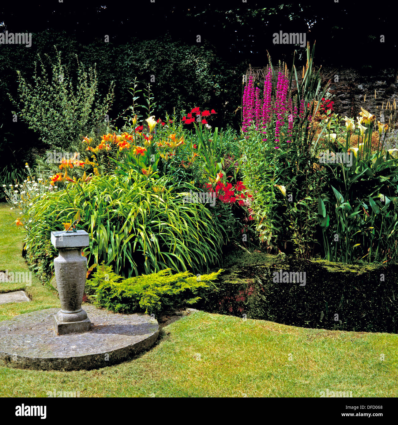 A well manicured lawn leading up to a mature garden pond Stock Photo