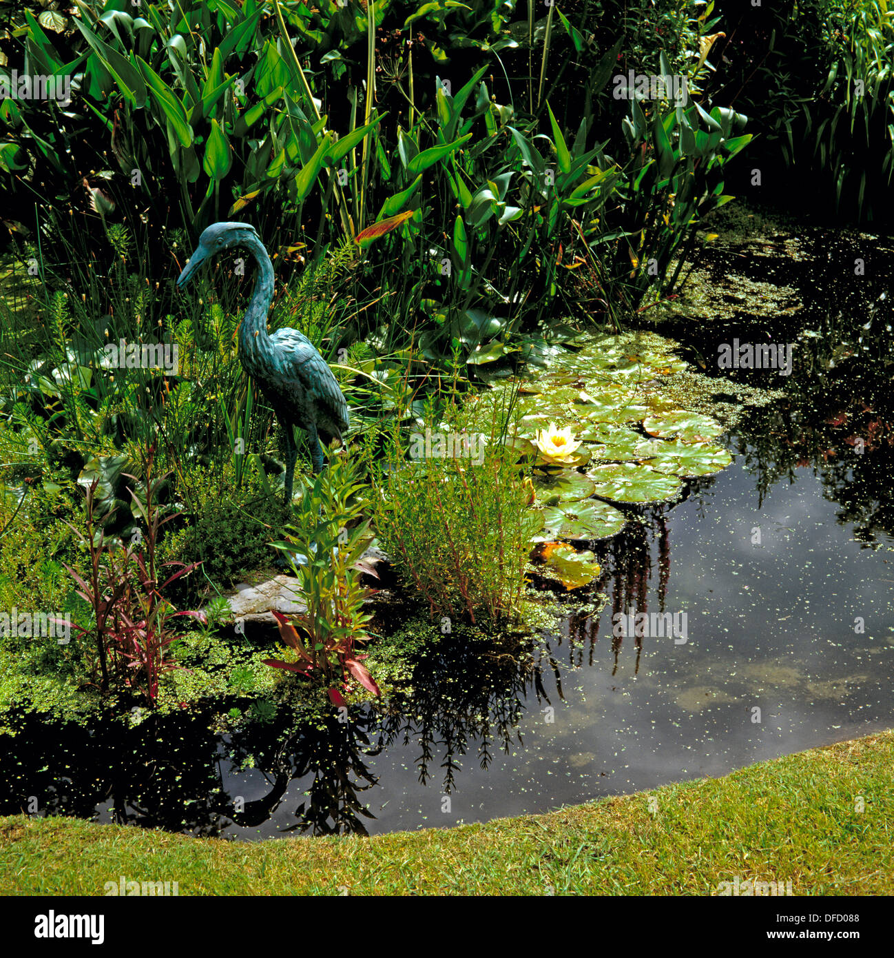 A bronze sculpture of a heron guards the fish in this garden pond from attack by real herons Stock Photo