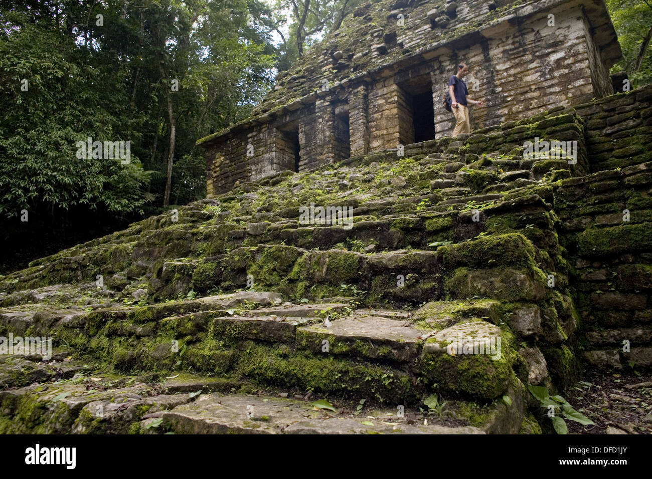 Mexico chiapas lacandon jungle north hi-res stock photography and ...