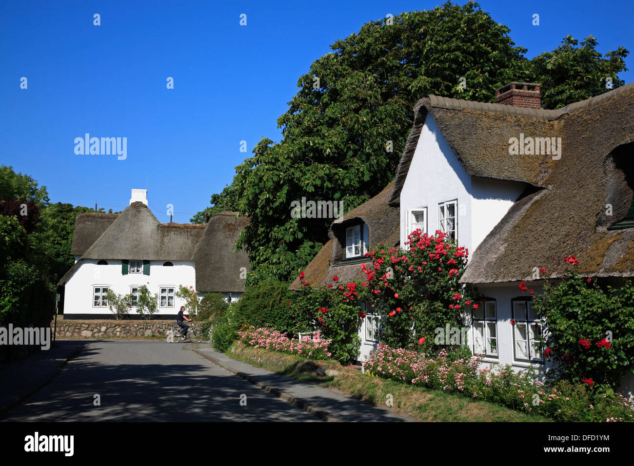 Thatched old frisian house in Keitum, Sylt Island, Schleswig-Holstein, Germany Stock Photo