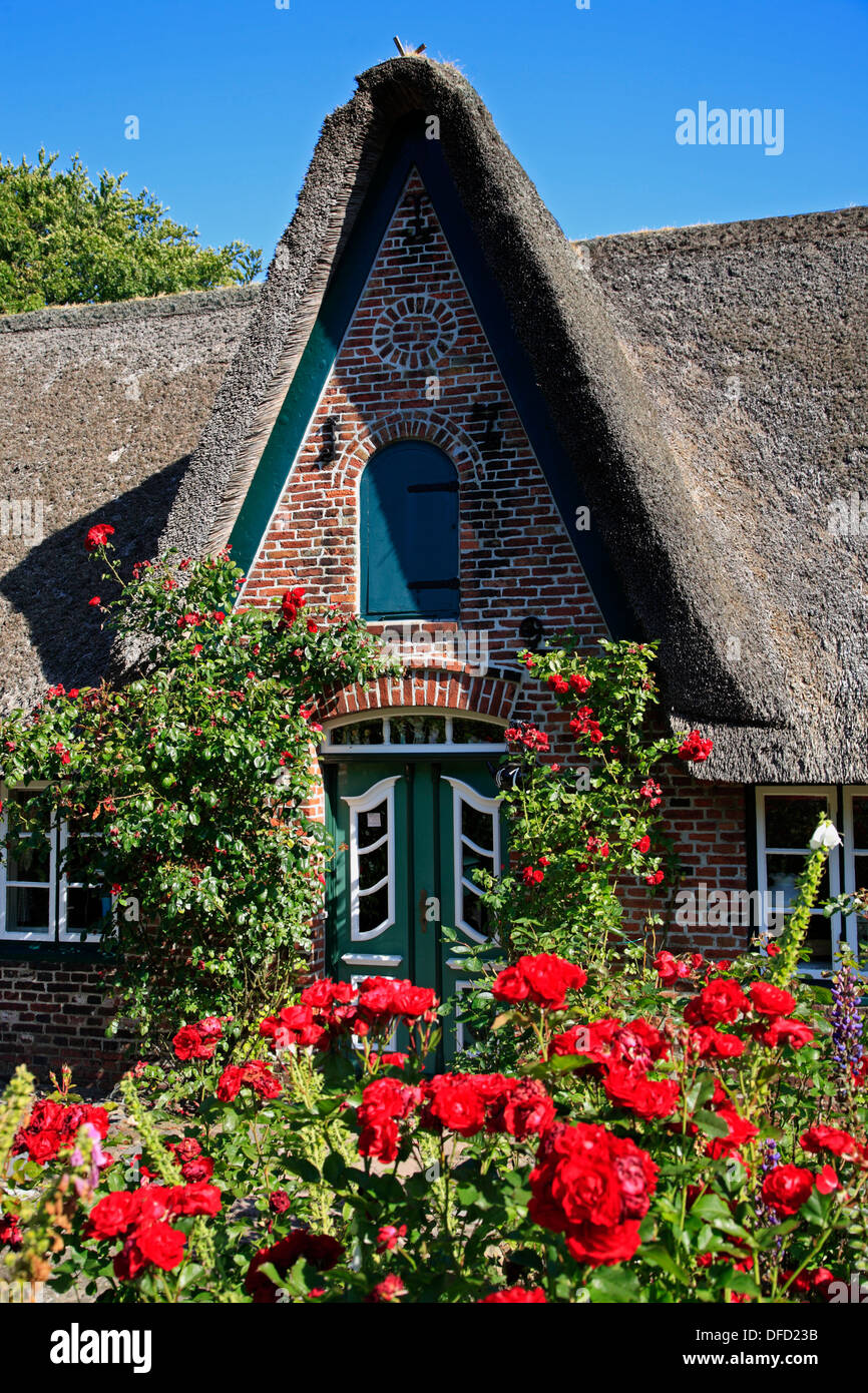 Thatched old Friesenhaus in Keitum, Sylt Island, Schleswig-Holstein, Germany Stock Photo