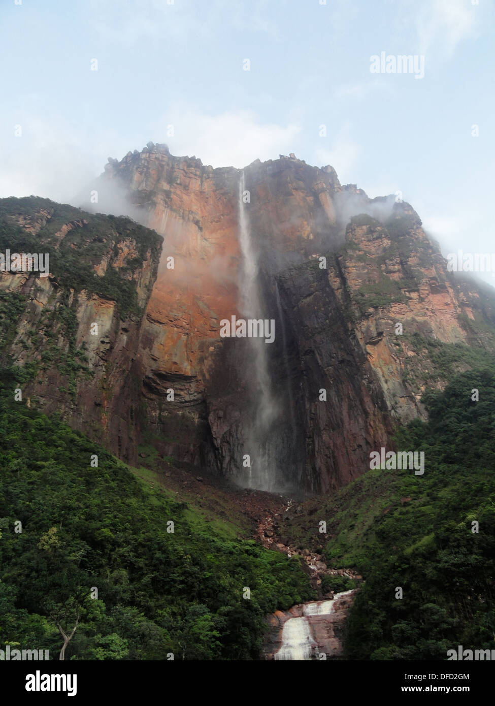 Angel Falls / Salto de Angel, Canaima National Park, Venezuela Stock ...