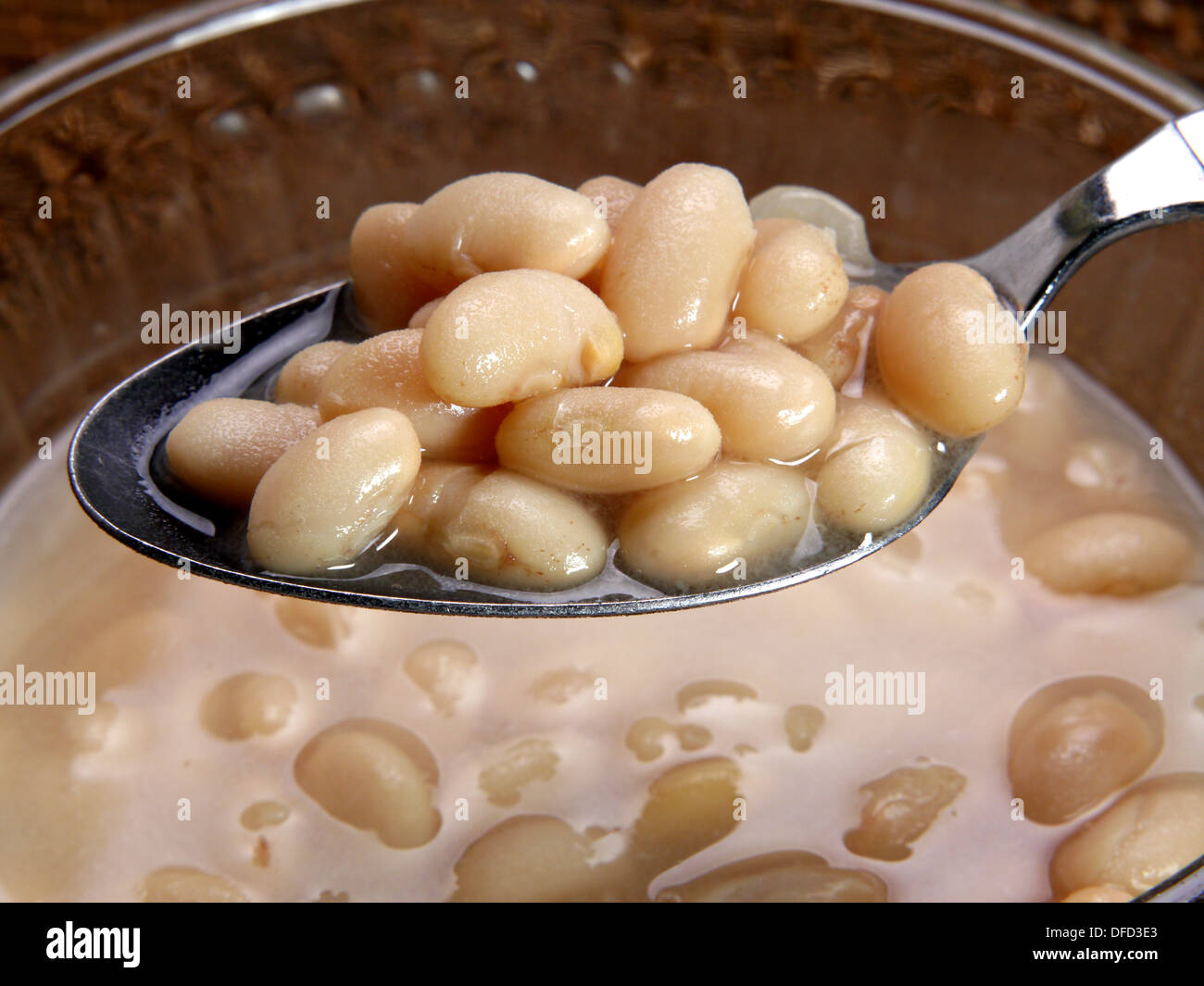 A image of a spoonful of Great Northern Beans Stock Photo