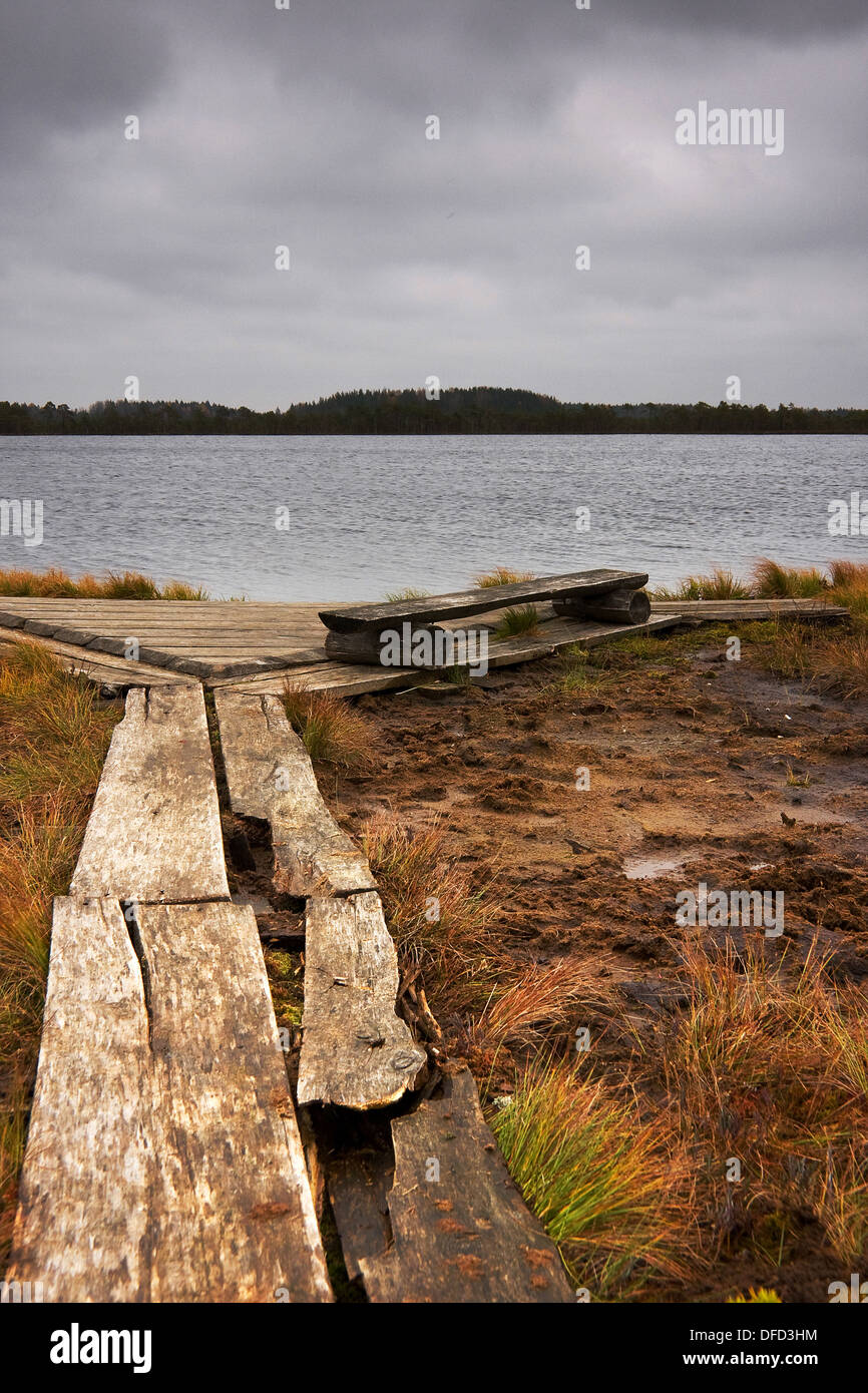 Timber road, bench and lake in marsh Stock Photo