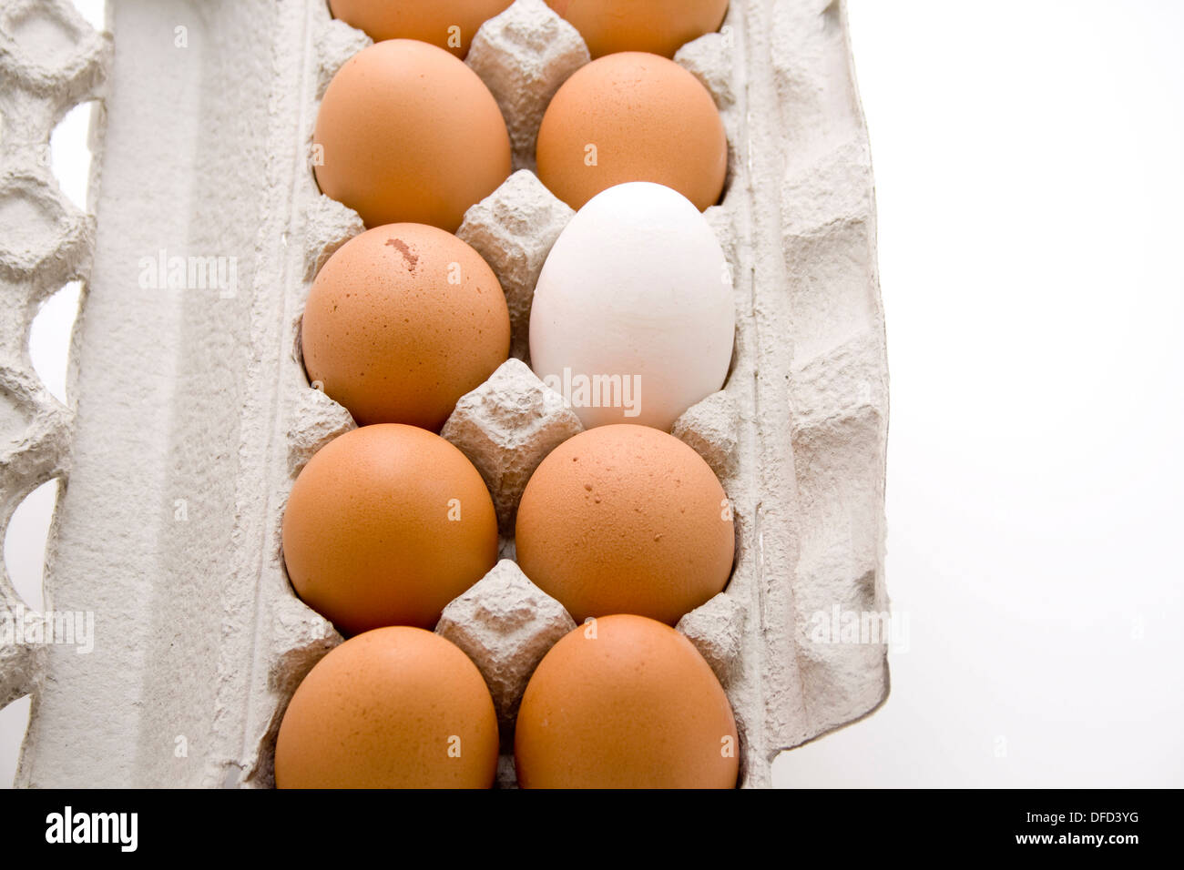 Brown eggs with egg carton Stock Photo Alamy