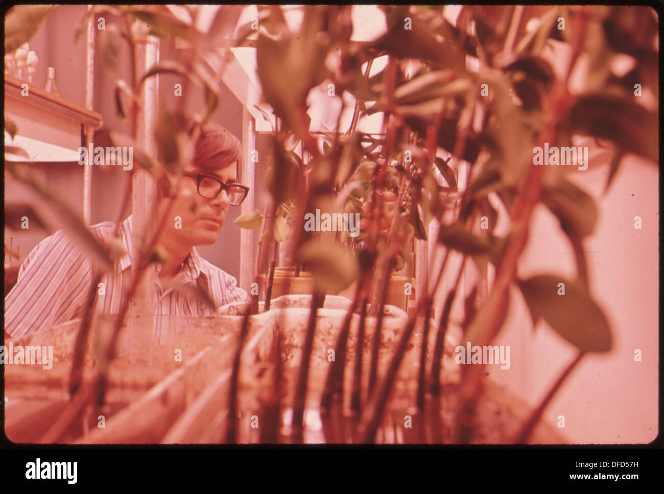 EPA GULF BREEZE LABORATORY, TERRY HOLLISTER, FISHERY BIOLOGIST, STUDIES